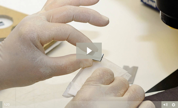 xray video